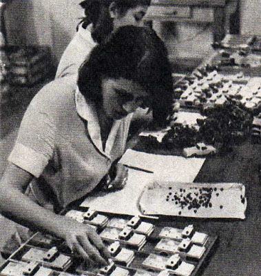 La carrera final y el Legado.